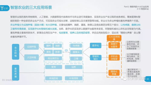 2018中國(guó)物聯(lián)網(wǎng)應(yīng)用研究報(bào)告 服務(wù)賦能，連接未來(lái)